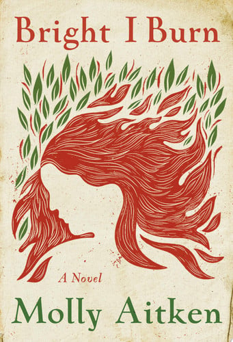 Book: Bright I Burn A Novel