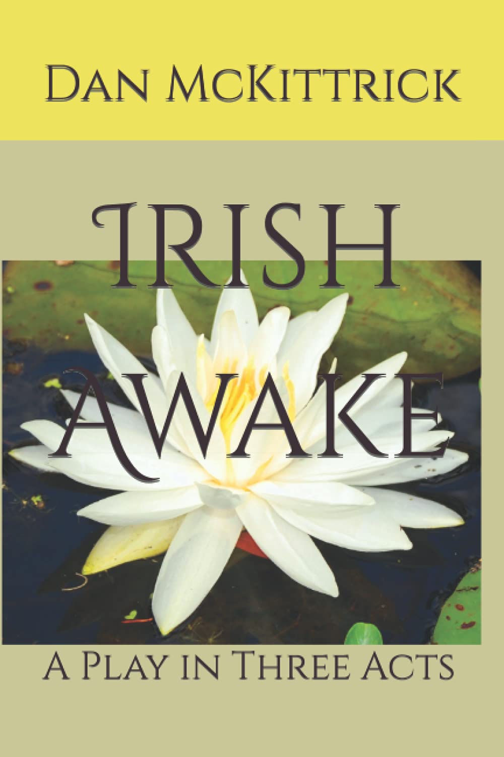 Book: Irish Awake: A Play in Three Acts