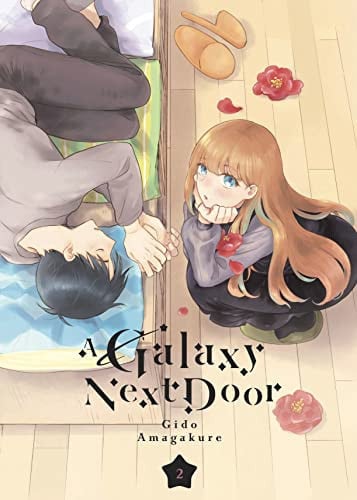 Book: A Galaxy Next Door 2
