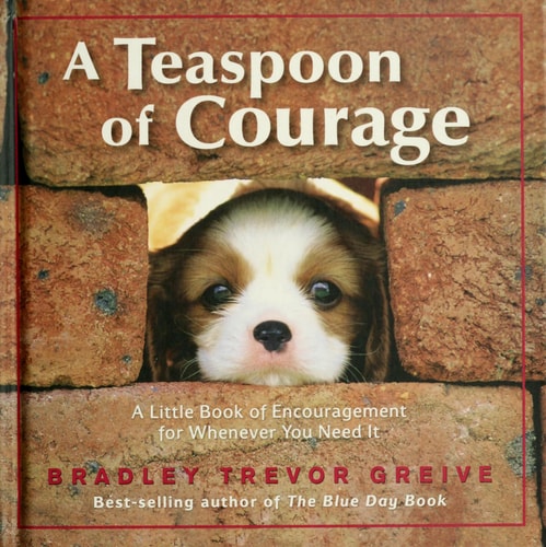 Book: A Teaspoon of Courage A Little Book of Encouragement for Whenever You Need It