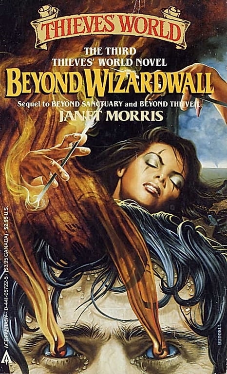 Book: Beyond Wizardwall (Thieves' World)