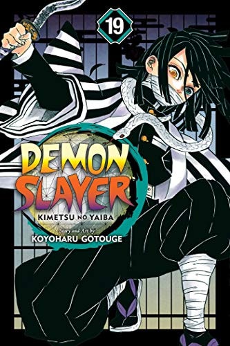 Book: Demon Slayer: Kimetsu no Yaiba, Vol. 19 (Manga)