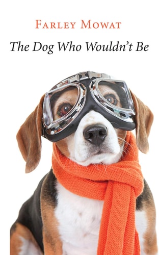 Book: The Dog Who Wouldn't Be