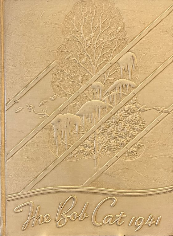 Book: The Bobcat 1941 (Brookings, SD High School Yearbook, 1941)