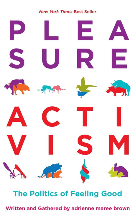 Book: Pleasure Activism The Politics of Feeling Good