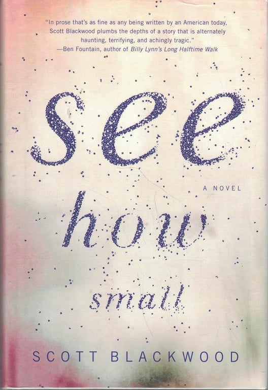 Book: See How Small A Novel