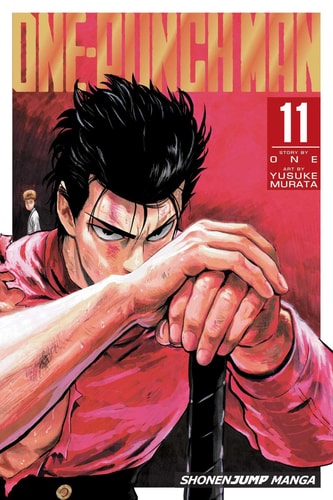 Book: One-Punch Man, Vol. 11 (11)