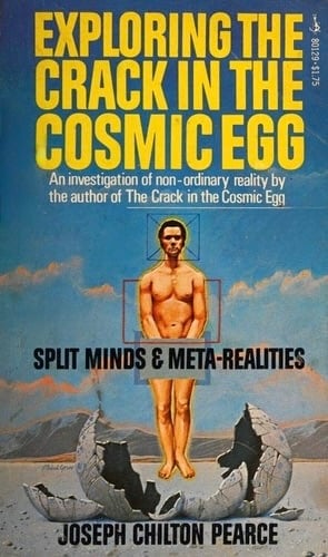 Book: Exploring the Crack in the Cosmic Egg: Split Minds and Meta-Realities