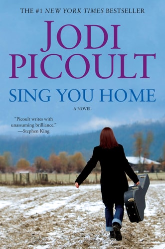 Book: Sing You Home A Novel