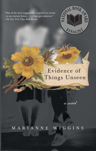Book: Evidence of Things Unseen A Novel