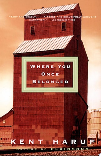 Book: Where You Once Belonged