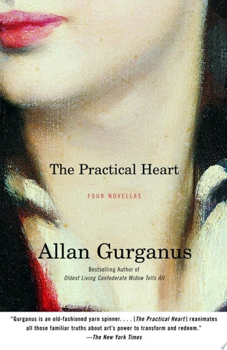 Book: The Practical Heart Four Novellas