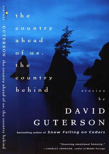 Book: The Country Ahead of Us, The Country Behind