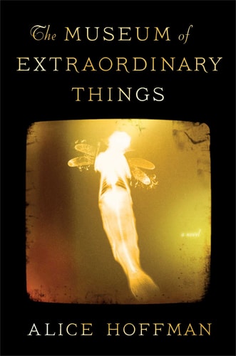 Book: The Museum of Extraordinary Things A Novel