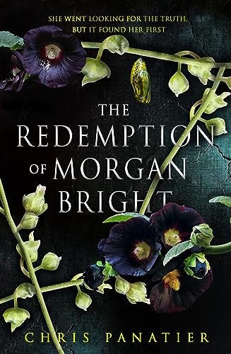 Book: The Redemption of Morgan Bright