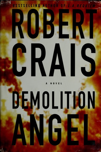 Book: Demolition Angel
