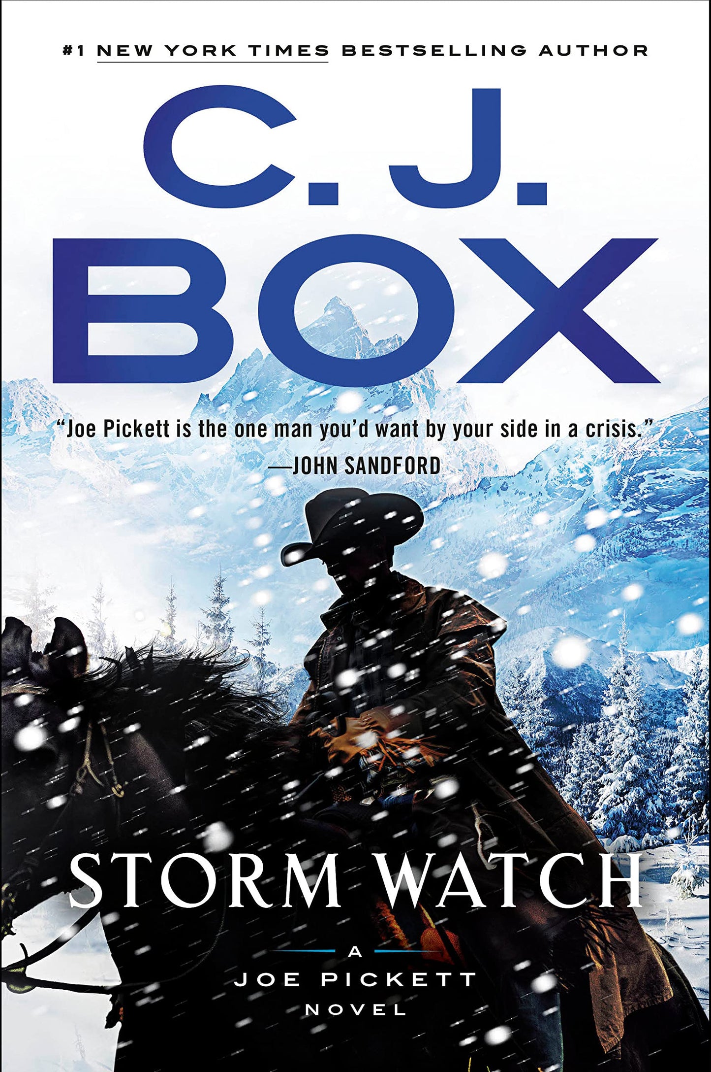 Book: Storm Watch (A Joe Pickett Novel)