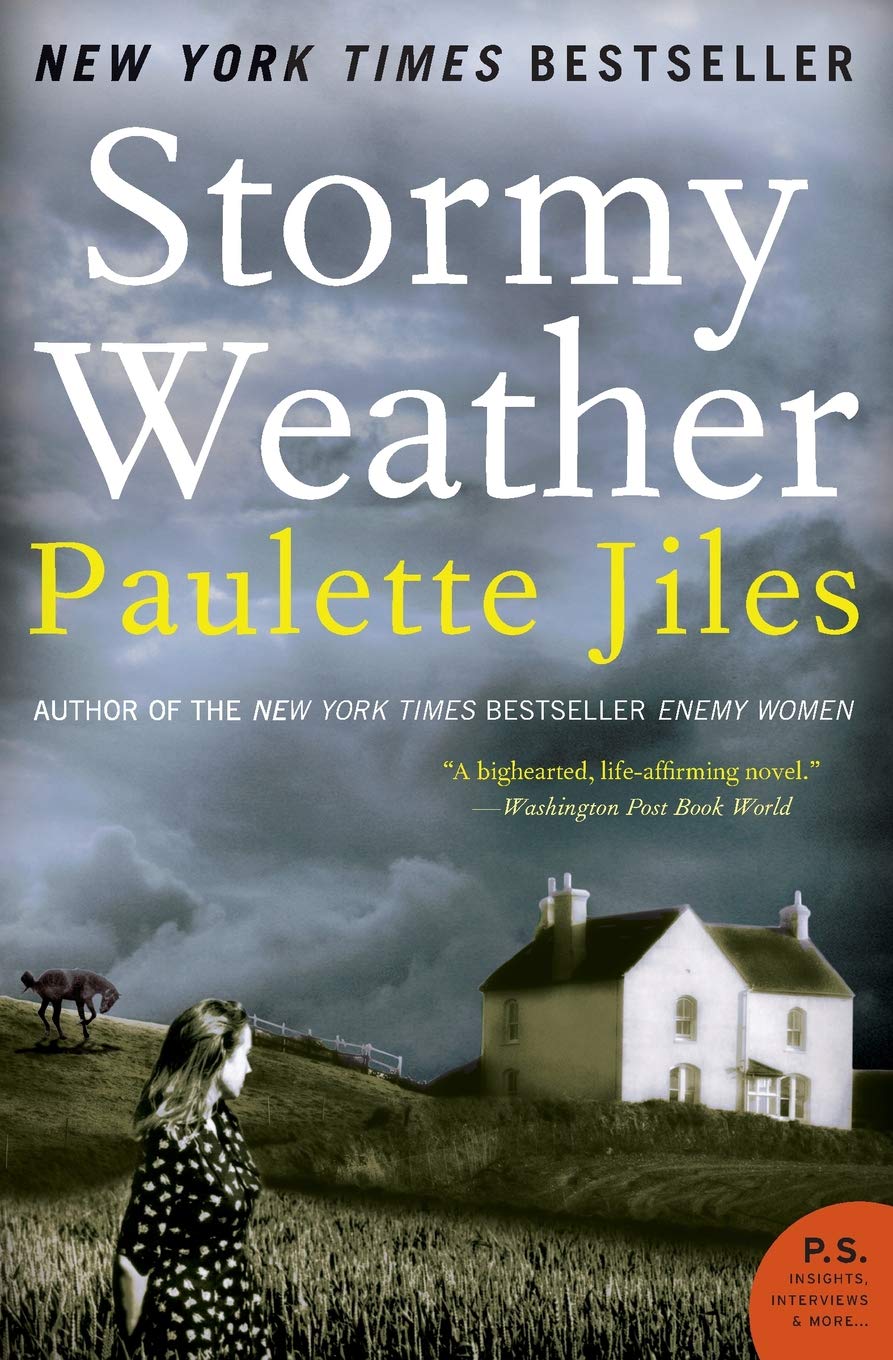 Book: Stormy Weather: A Novel (P.S.)