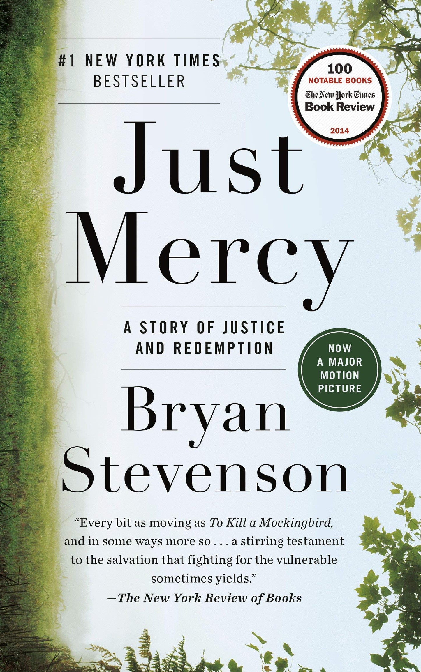 Book: Just Mercy: A Story of Justice and Redemption