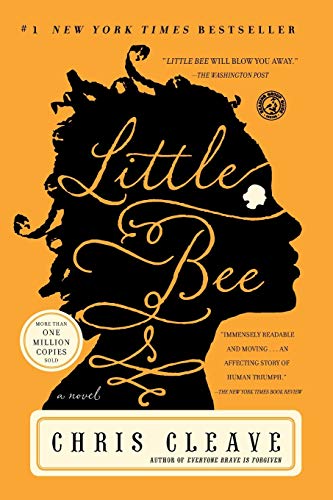 Book: Little Bee: A Novel