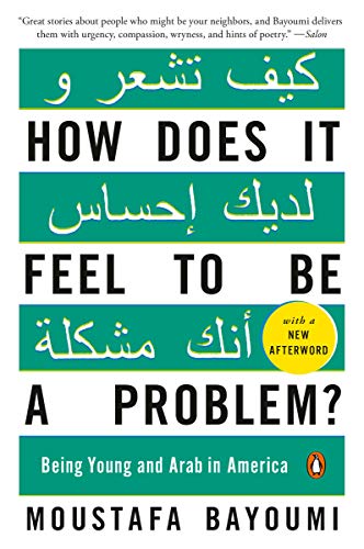 Book: How Does It Feel to Be a Problem?: Being Young and Arab in America