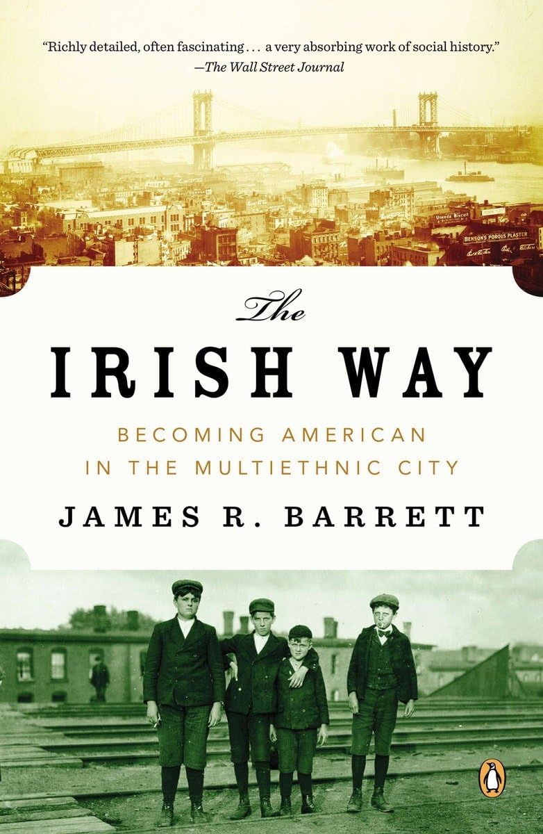 Book: The Irish Way: Becoming American in the Multiethnic City (Penguin History of American Life)