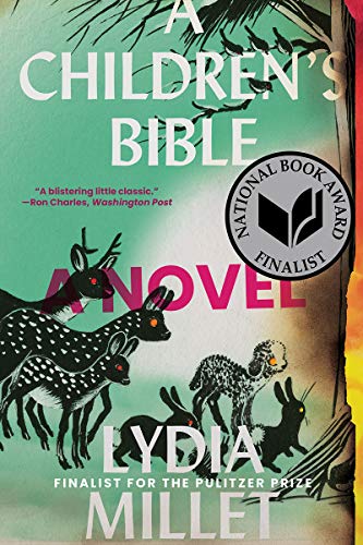 Book: A Children's Bible: A Novel