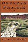 Book: Brendan Prairie: A Novel