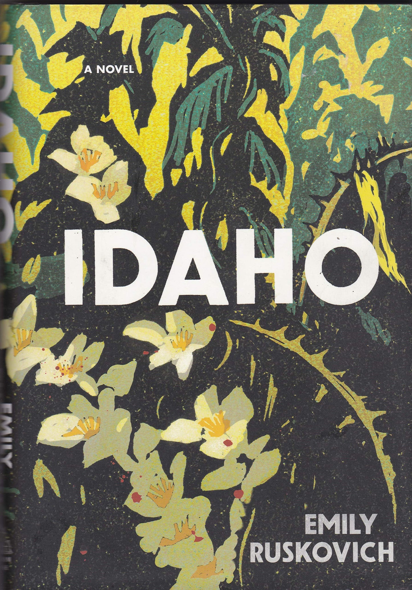 Book: Idaho: A Novel