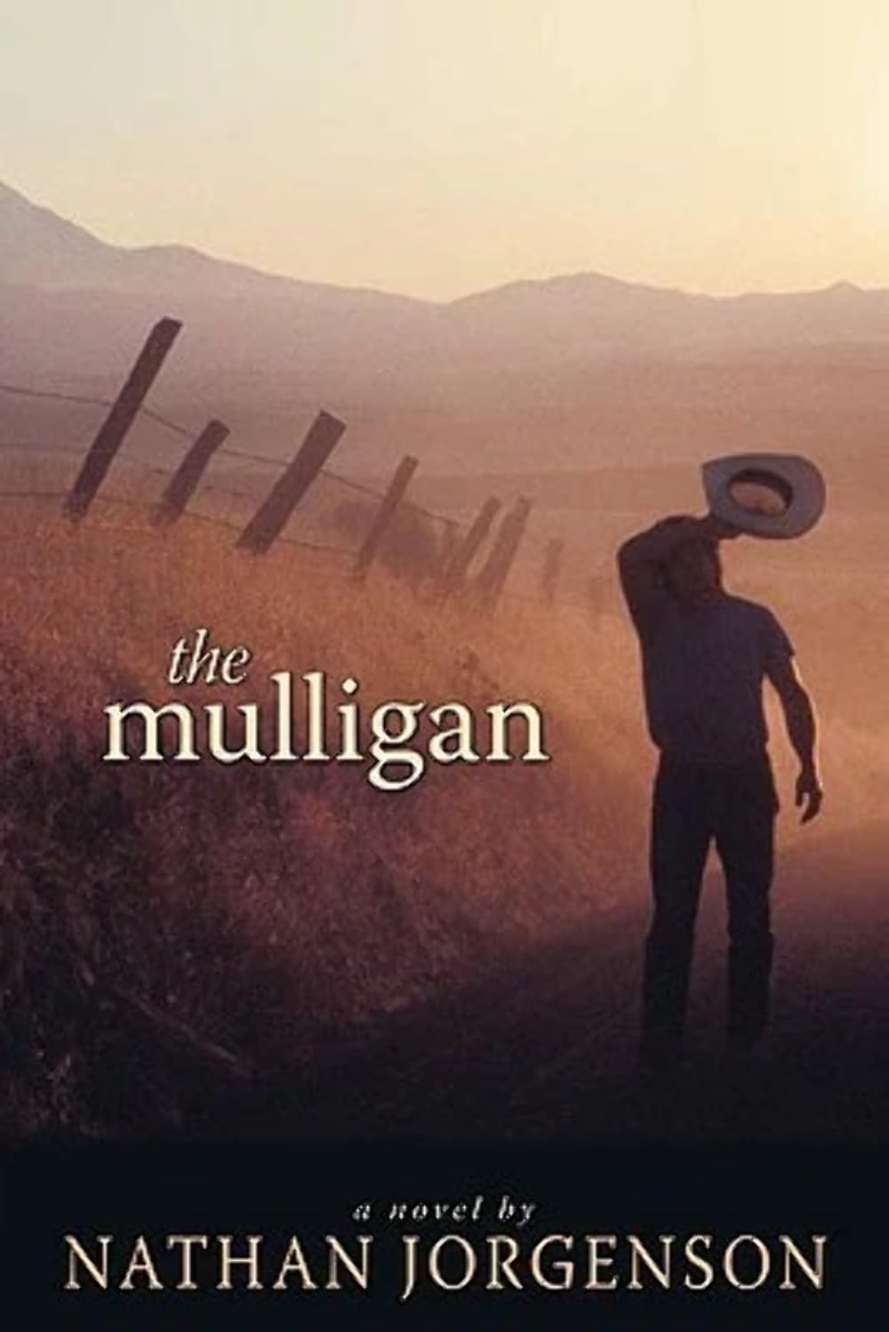 Book: The Mulligan