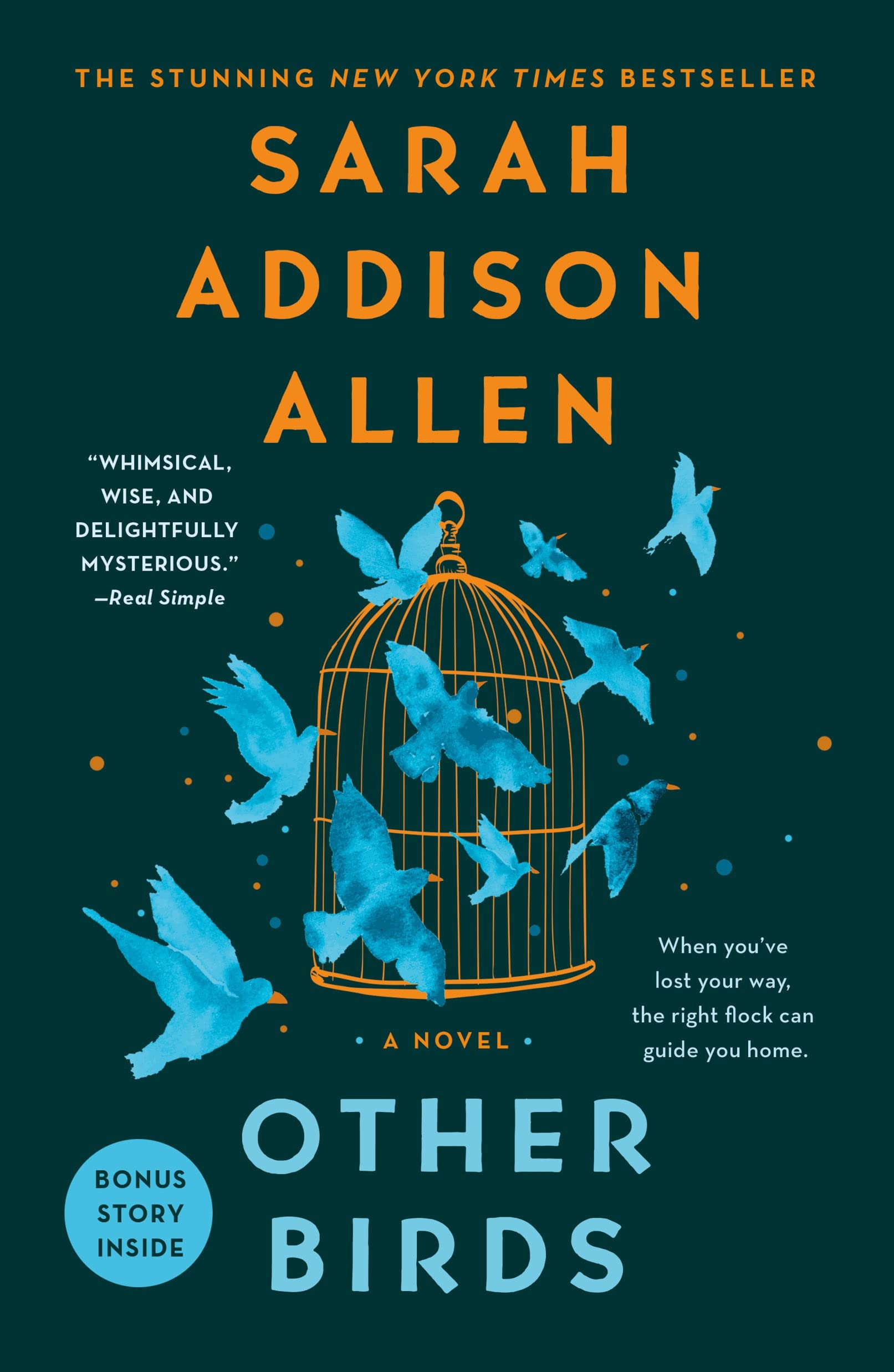 Book: Other Birds: A Novel