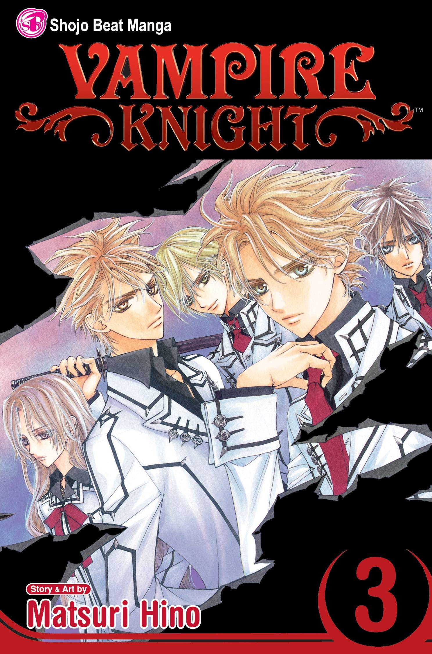 Book: Vampire Knight, Vol. 3