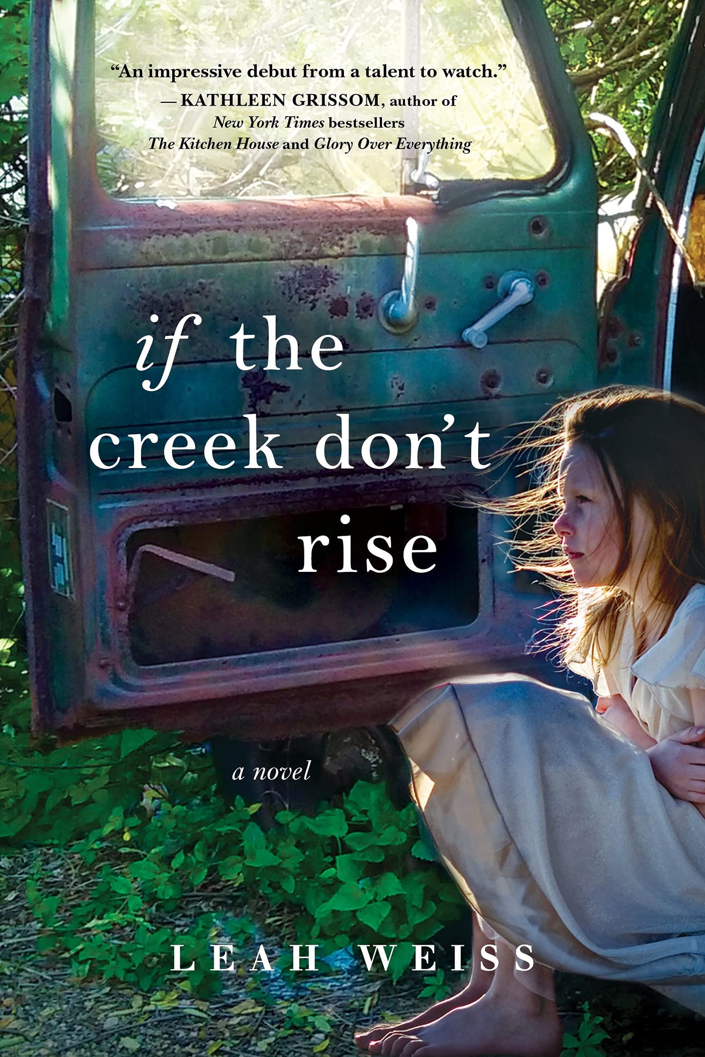 Book: If the Creek Don't Rise: A Novel