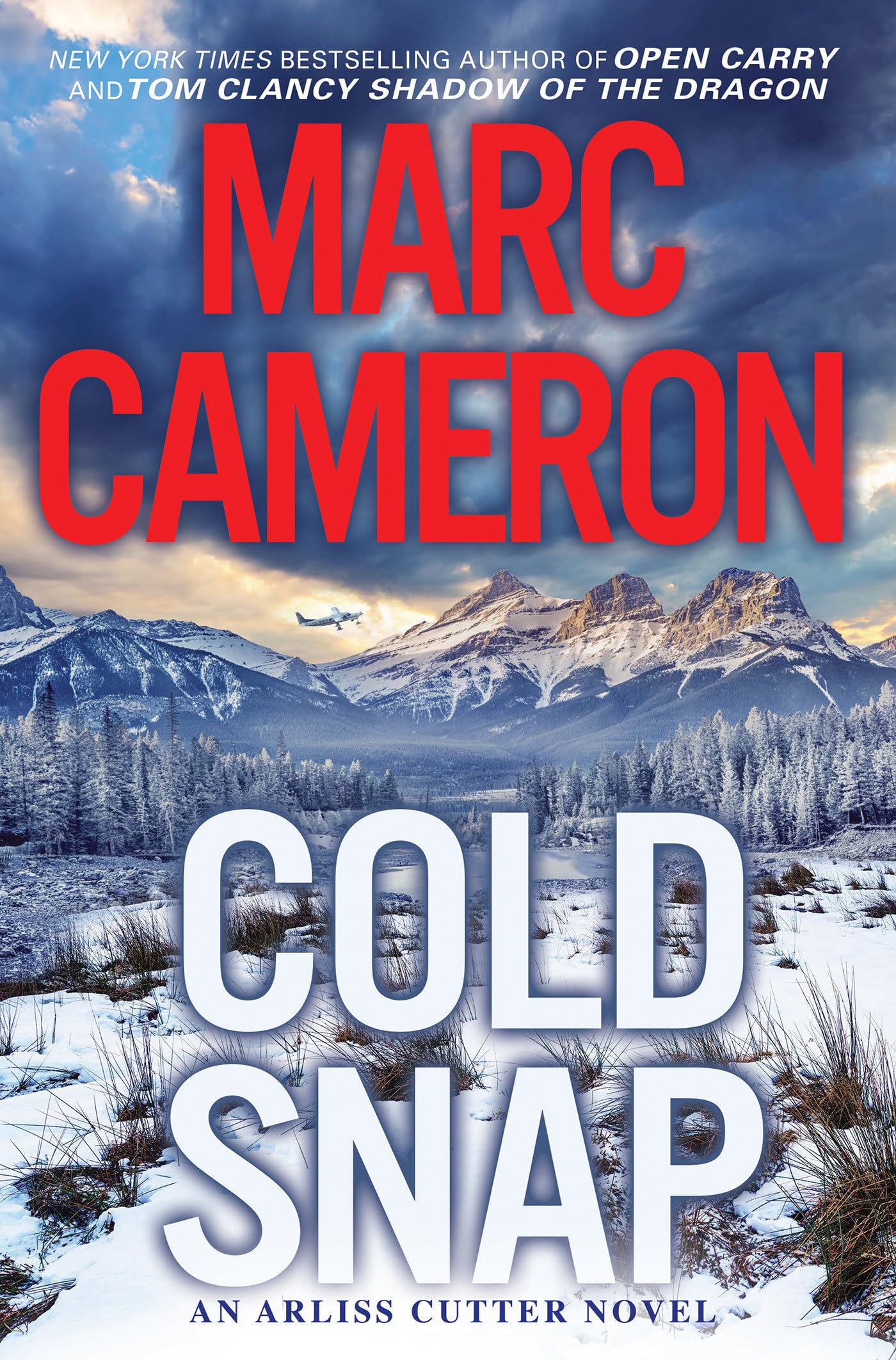 Book: Cold Snap: An Action Packed Novel of Suspense (An Arliss Cutter Novel)