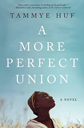 Book: A More Perfect Union