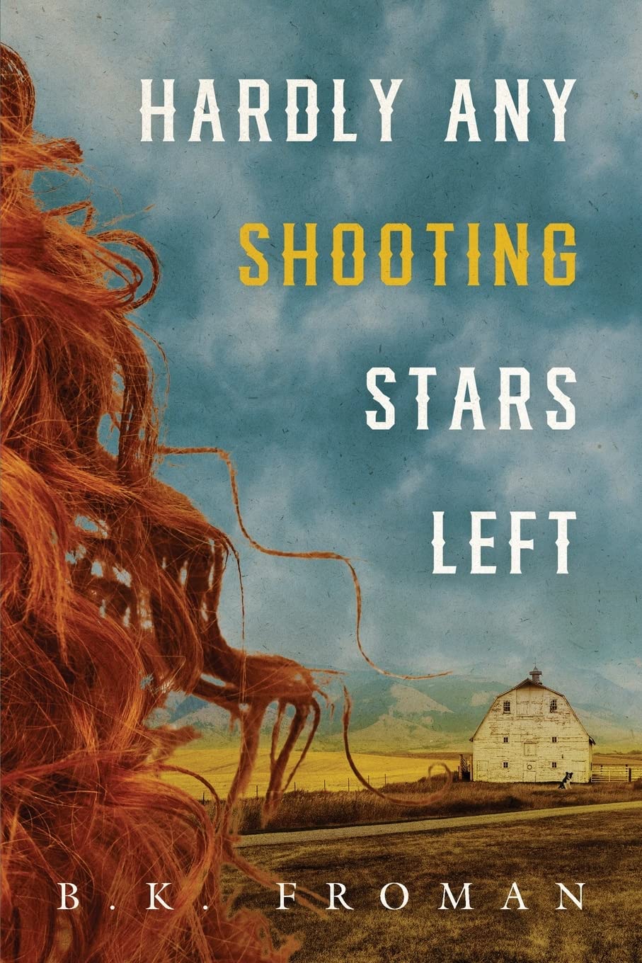 Book: Hardly Any Shooting Stars Left