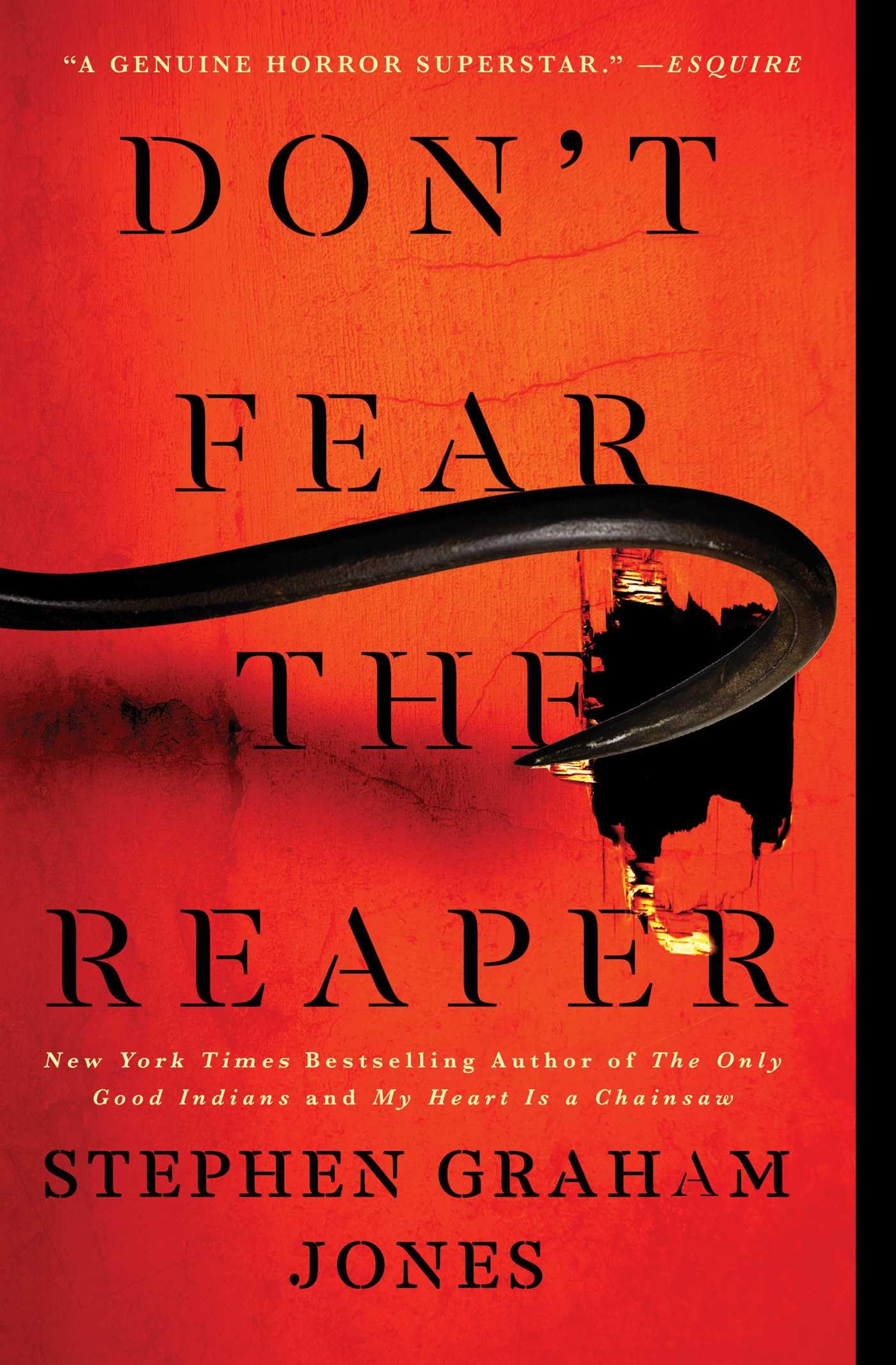 Book: Don't Fear the Reaper (The Indian Lake Trilogy, Book 2)