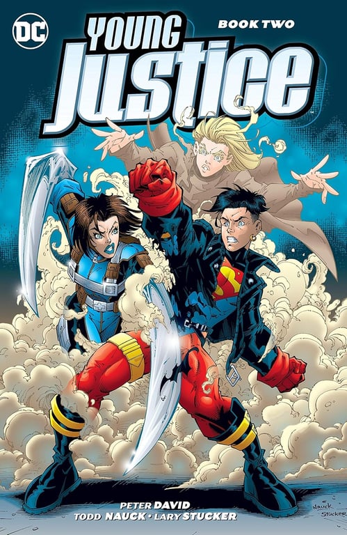 Book: Young Justice Book Two