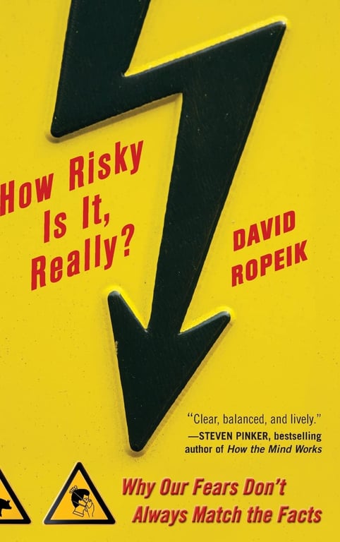 Book: How Risky Is It, Really?: Why Our Fears Don't Always Match the Facts