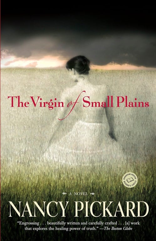 Book: The Virgin of Small Plains A Novel