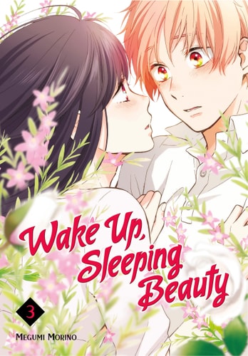 Book: Wake Up, Sleeping Beauty Volume 3