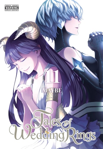 Book: Tales of Wedding Rings, Vol. 11 (Tales of Wedding Rings, 11)