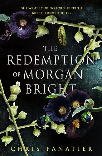 Book: The Redemption of Morgan Bright