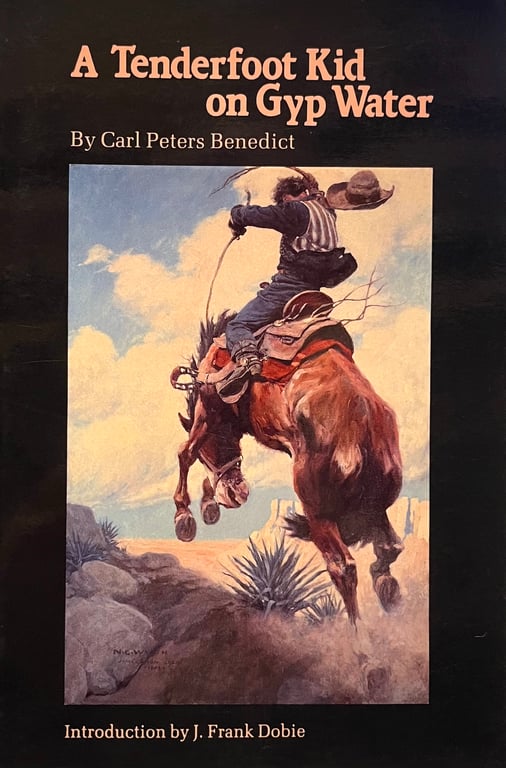 Book: A Tenderfoot Kid on Gyp Water