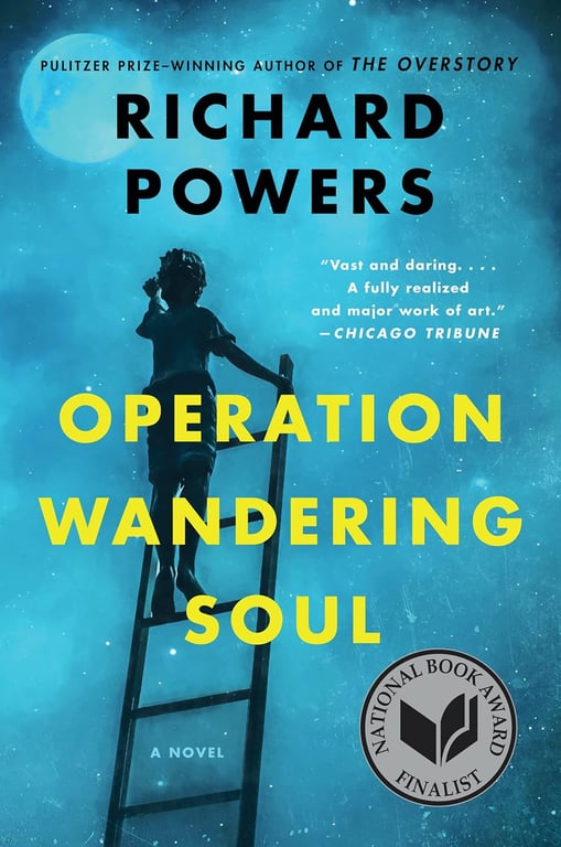 Book: Operation Wandering Soul A Novel