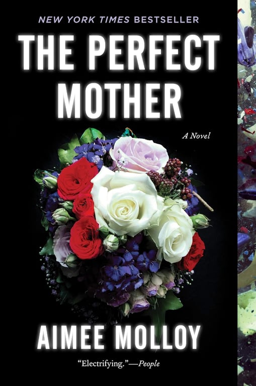 Book: The Perfect Mother A Novel