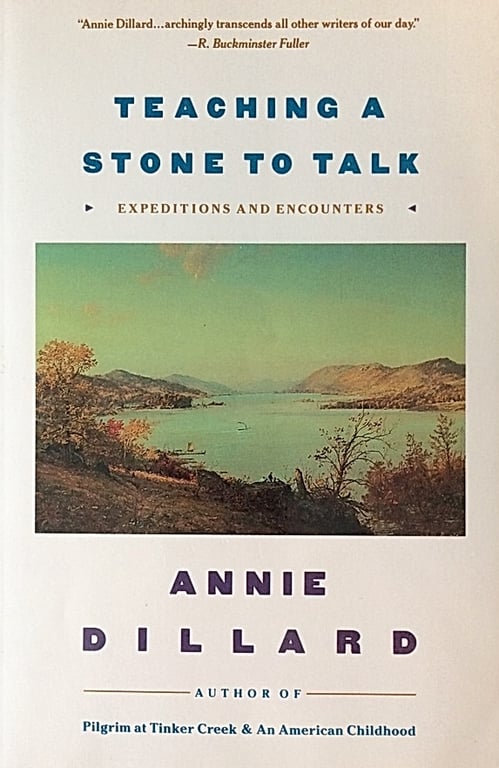 Book: Teaching a Stone to Talk Expeditions and Encounters