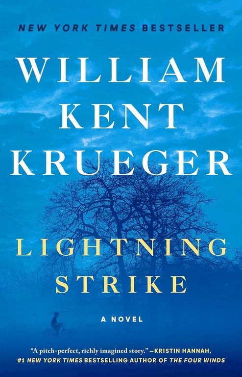 Book: Lightning Strike A Novel