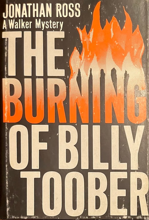 Book: The Burning of Billy Toober (George Rogers Mystery, Book 6)