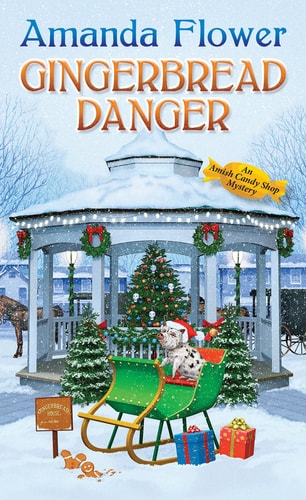 Book: Gingerbread Danger